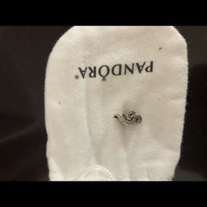 Pandora charm
